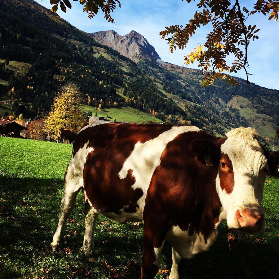 Chalet Franzi - Das Family-Ferienhaus Mit Gratiseintritt Ins Solarbad Dorfgastein Esterno foto