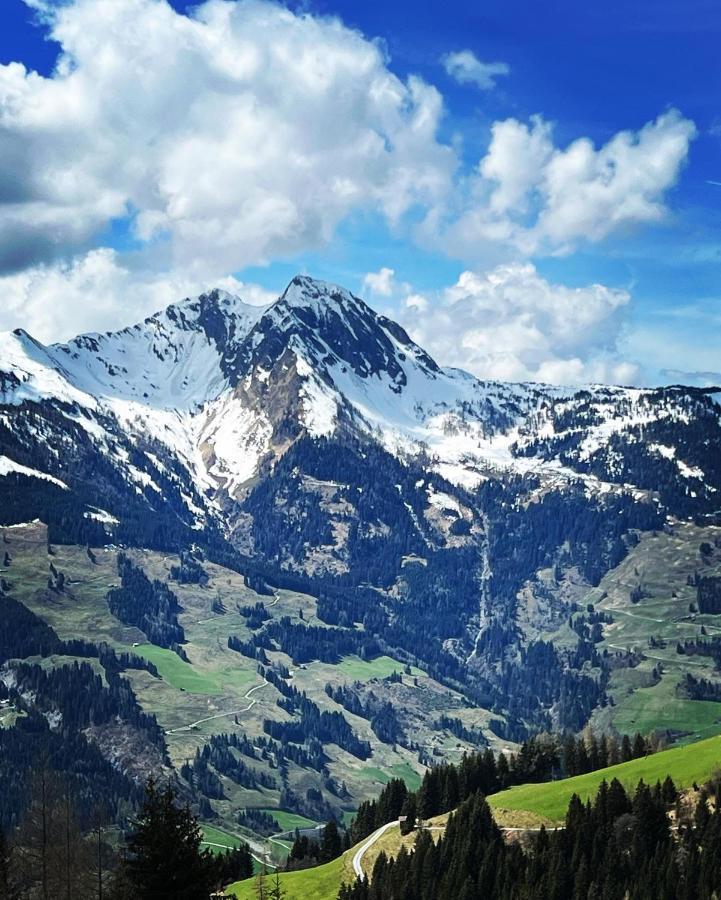 Chalet Franzi - Das Family-Ferienhaus Mit Gratiseintritt Ins Solarbad Dorfgastein Esterno foto