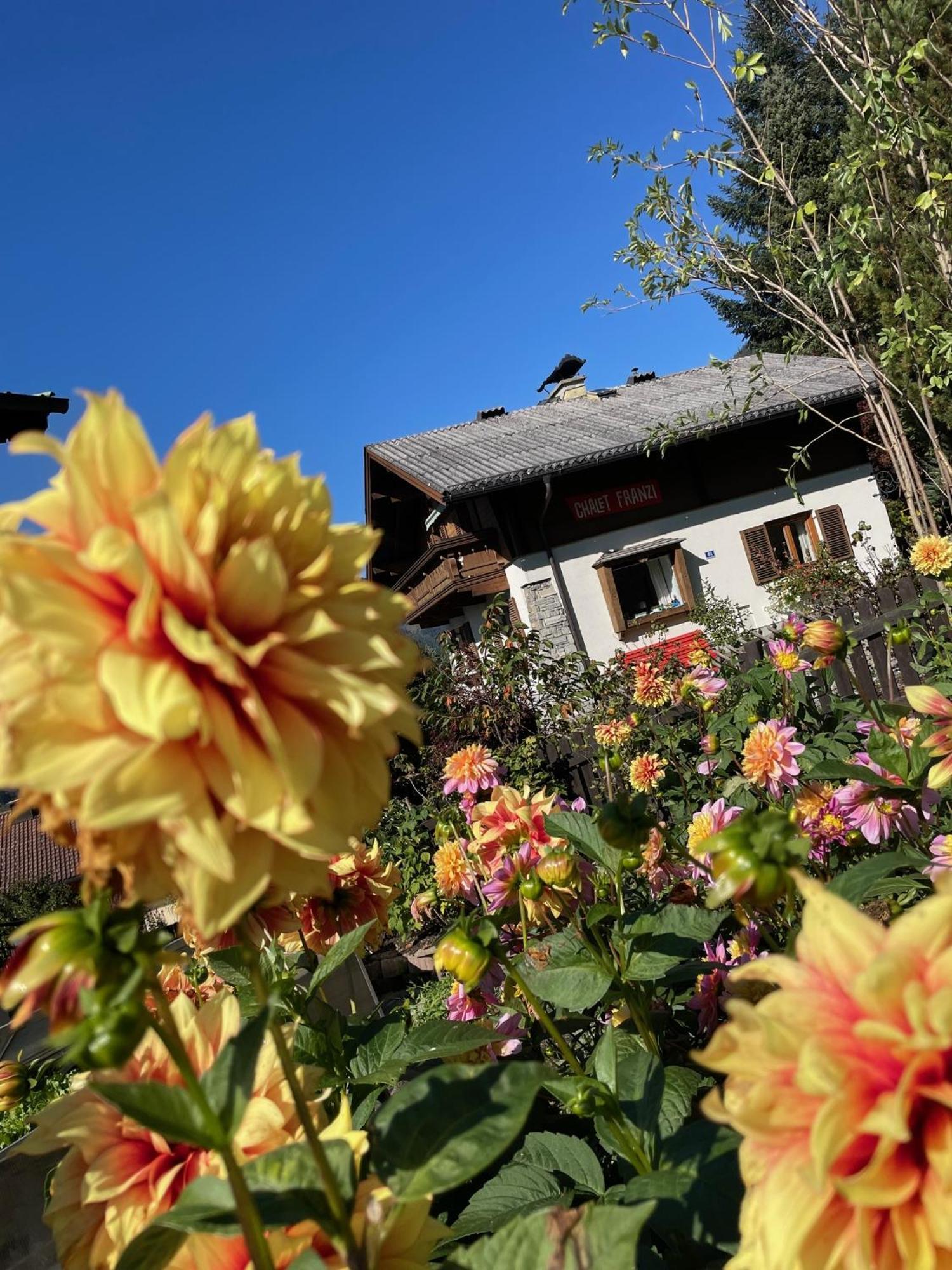 Chalet Franzi - Das Family-Ferienhaus Mit Gratiseintritt Ins Solarbad Dorfgastein Esterno foto